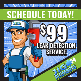 Free Camera Inspection